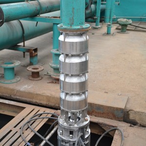 Stainless steel sea water deep well pump