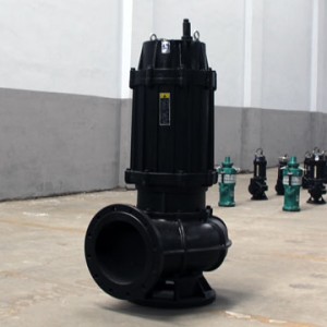 Mine Sewage Pump