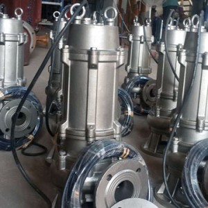 Stainless Steel Sewage Pump