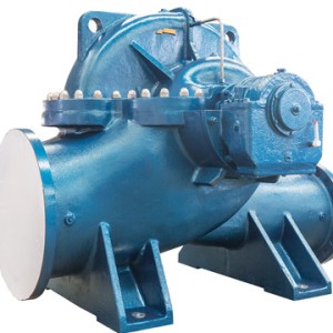 SAP Split Case Pump