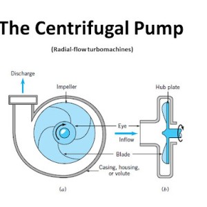 Working Principle of Centrifugal Pump