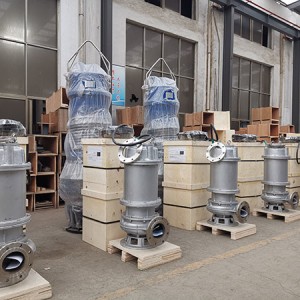 Vertical Submersible Sewage Pump Export to UAE
