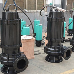 15KW 20HP 215M3/H 10M Head Sewage Water Pump In UAE