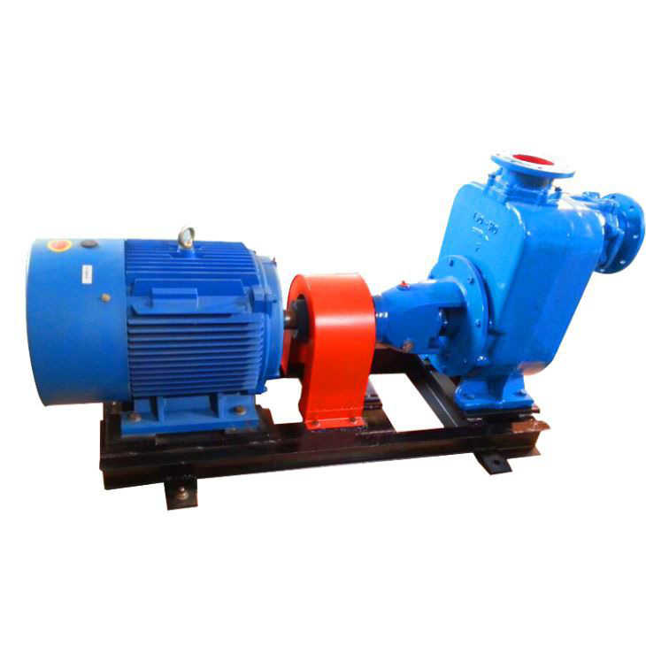 Types of self-priming pumps