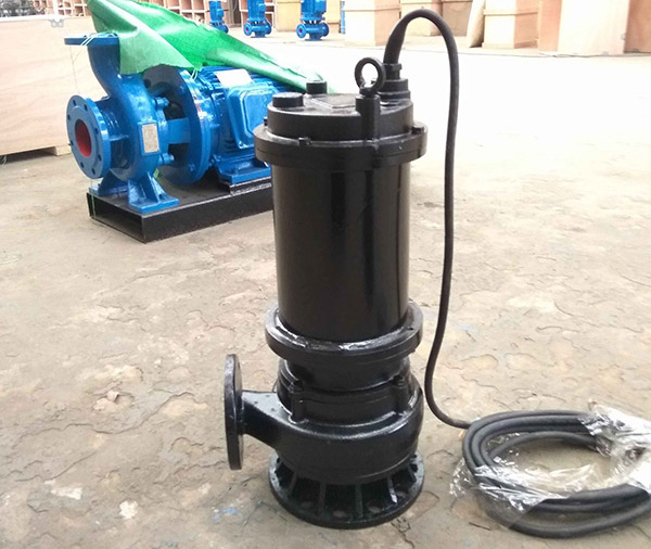 10M3/H 0.75 KW 10M Head Sewage Water Pump in Thailand