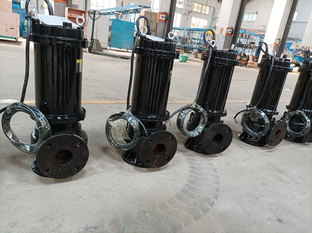 5.5KW 40M3/H 22M Head Sewage Pump In Thailand